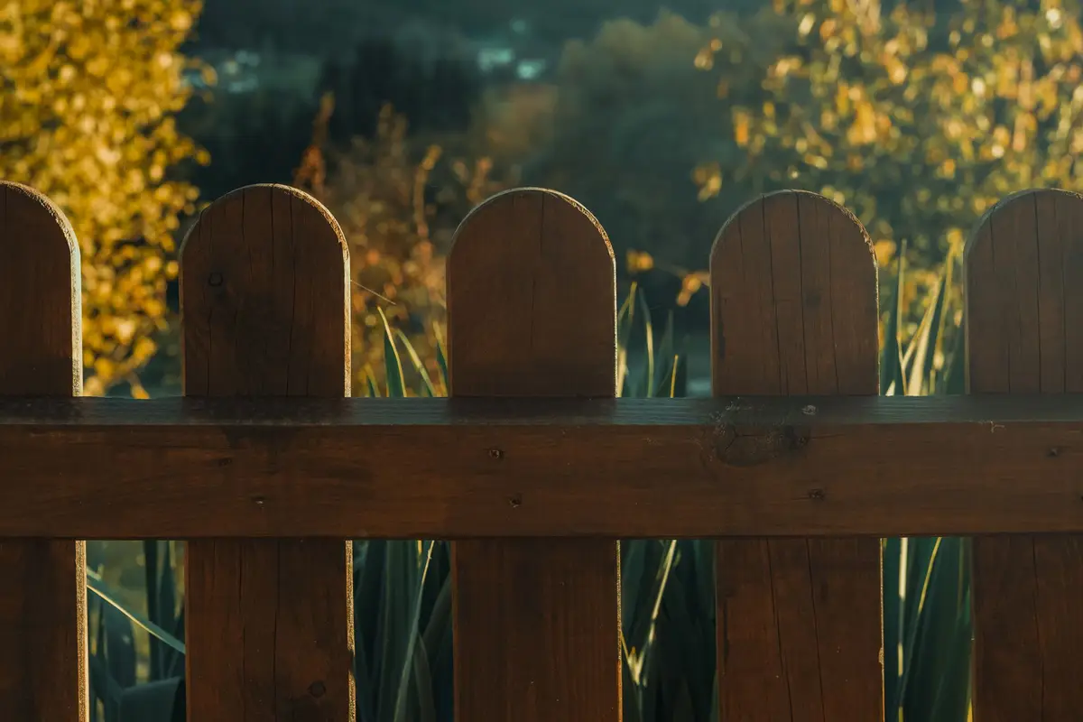 Close-up of a stained wood privacy fence in a sunny garden